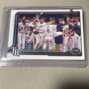 Tampa Bay Rays Team Celebration Card